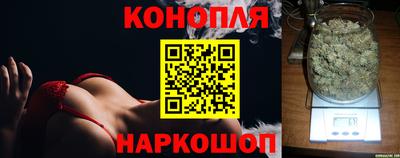 гидра Лесосибирск