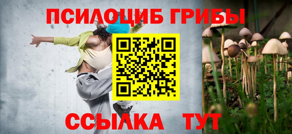 Галлюциногенные грибы GOLDEN TEACHER Зеленодольск